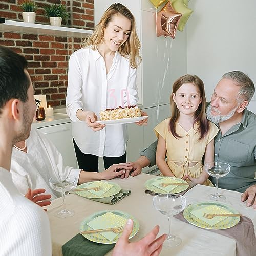 Sage Green Plates and Napkins Party Supplies - Image 3