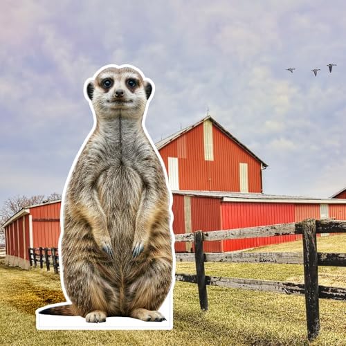 Meerkat1 Life Size Cardboard Cutout, 4FT, Party Decor, 1 PC - Image 6