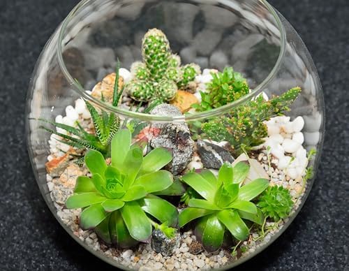 Sawysine 8 Pcs Bubble Bowl Vase Centerpiece 7.8''W X 6.3''H - Image 4