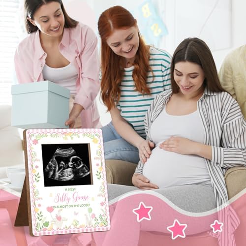 One Silly Goose Baby Shower Sign Picture Frame, Silly Goose Sonogram Picture Frame, New Mom Expecting Parents-to-Be Keepsake Gifts, Silly Geeses Baby Shower Gender Reveal Gifts, 4.5 * 5.3 IN Photo - Image 6