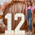 Pooqla 2.4FT Light Up Numbers for 12 Year Old Boy Girl Gifts, Marquee Numbers 2.4 Feet Tall Party Decor for Her Him, Mosaic Big Sign for 12th Birthday Decoration Backdrop, Warm White Large Number 12 by Pooqla