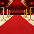 Extra Thick Red Carpet Runner 3 x 10Ft, Non-Slip TPR Rubber Backing, 450 GSM Heavy-Duty Aisle Runner Red Runner Rug for Wedding Ceremony, Hollywood Party, Graduation & Award Events by AEHISDHIE