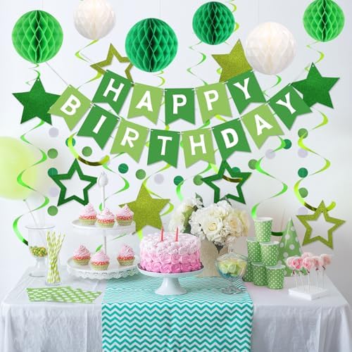 meowtastic Birthday Decorations Happy Birthday Banner with Honeycomb Balls - Image 5