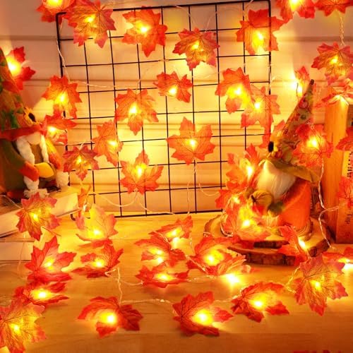 Timer - 2 Pack Fall Garland with Lights Total 20Ft 40LED Battery Operated - Image 5