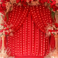 Red Backdrop Curtains with Lights for Parties,10x10FT Wrinkle Free Red Photo Backdrop Curtains for Wedding Baby Shower Birthday Ceremony Reception New Year Decorations-5ft x 10ft,2 Panels by Partisky