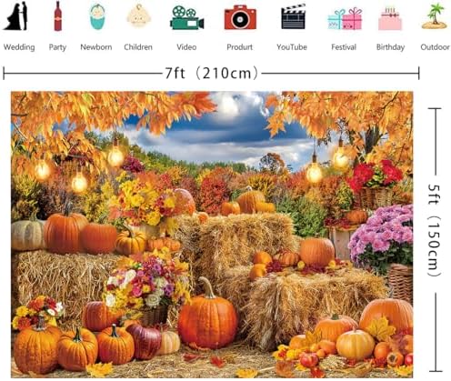 Autumn Pumpkin Backdrop Hay Bale Farm Fall Harvest Photography Background - Image 6