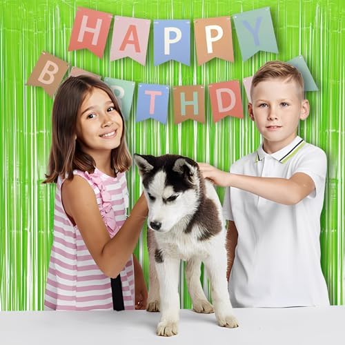BRAVESHINE Pastel Green Streamers Party Backdrop Decorations 2 Pack - Image 5