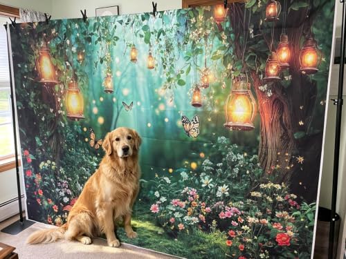 Spring Enchanted Forest Backdrop, Fairy Tale Wonderland Garden Backdrops for Photoshoot, Mushroom Butterfly Woodland Fairy Tea Party Decorations Photo Booth Studio Props Backdrops 9X6FT - Image 5