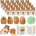 12 Sets Positive Gifts Groundhog Figurine with Support Boxes by Wettarn