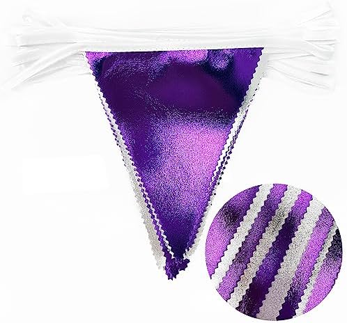 Purple and Silver Party Decorations Triangle Pennant Banner Flag Metallic Fabric Bunting Garland for Birthday Graduation Retirement Bachelorette Wedding Bridal Shower Engagement Disco Party Supplies - Image 3