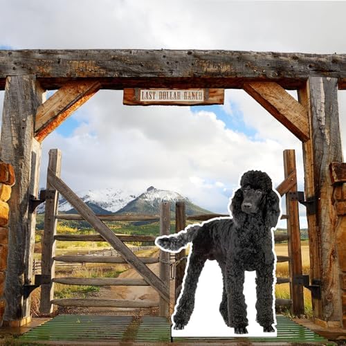 Poodle 2FT Life Size Cardboard Cutout, 1 PC - Image 6