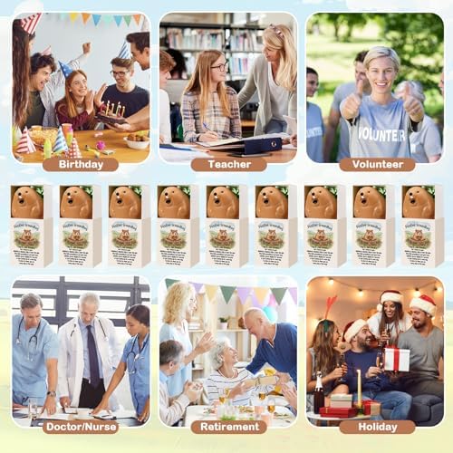 12 Sets Positive Gifts Groundhog Figurine with Support Boxes - Image 6