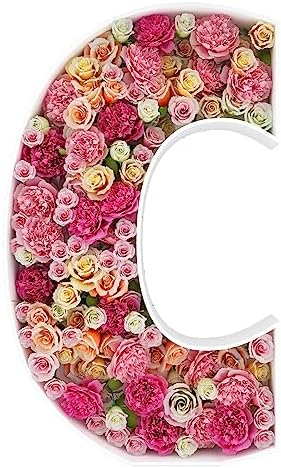 2FT DIY Mosaic Balloon Letter C Frame, Fillable Party Backdrop Decor by JW+Passion+-+Premium+Quality%2C+Made+With+Passion