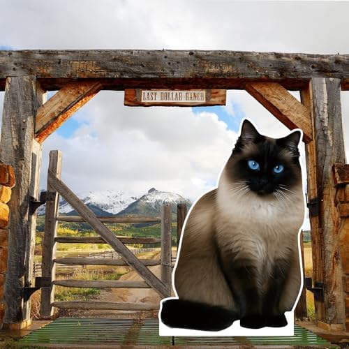 Siamese 1FT Life Size Cardboard Cutout, 1 PC - Image 6