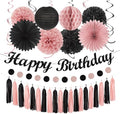 Blush-Pink Black Happy-Birthday Banner Party-Decorations - 31pcs 14th 40th Rose Gold Women Girls Paper Lanterns Streamers,Tissue Paper Flowers Pom Poms Fans Tassel Garland Sign Decor Backdrop Hugmoon by PartyDecorations