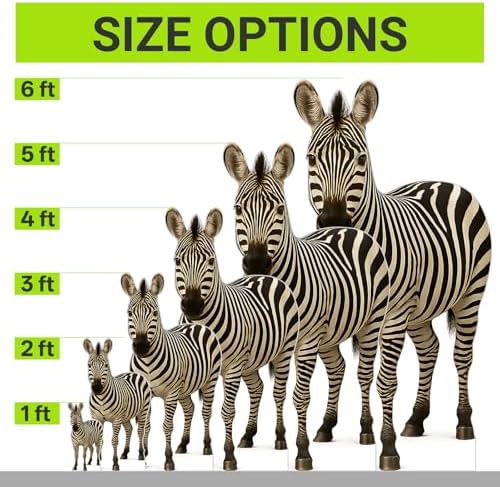 Zebra 6FT Life Size Cardboard Cutout, Standup, 1 PC - Image 3