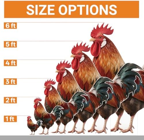 Rooster 2FT Life Size Cardboard Cutout, Farm Animal Cutouts, 1PC - Image 3