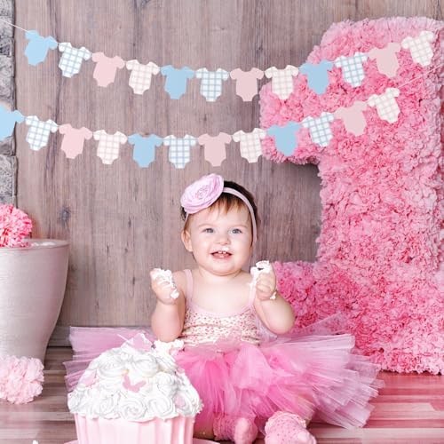 Weysat 2 Pcs Gender Reveal Banner Decorations Pink Blue Plaid Banner - Image 5