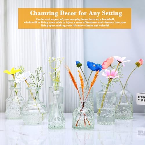 Clear Flower Vase Set, Glass Bud Vase in Bulk Set of 8 - Image 6