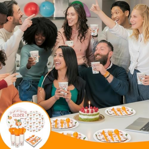 Yungyan 252 Pcs Just A Spritz Older Spritz Birthday Party Tableware Set Included Plates Napkins Cups Forks Knives Cutlery for Party Decorations Supplies 36 guests - Image 6
