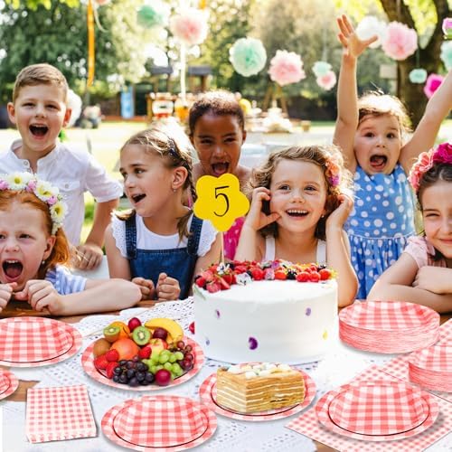 180Pcs Red Gingham Party Supplies Paper Plates and Napkins Serve 60 - Image 5
