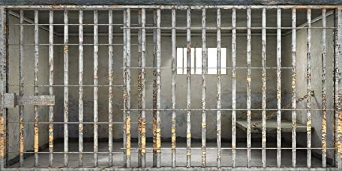 BELECO 20x10ft Fabric Prison Backdrop Jail Backdrop Jail Bars Murder Crime Theme Party Police Cell Mugshot Photography Background Birthday Events Decor Kids Adults Funny Photo Props YouTube Studio by BELECO