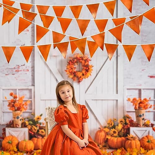 Orange Party Decorations Metallic Fabric Triangle Pennant Banner Flag Bunting Garland for Fall Autumn Thanksgiving Graduation Birthday Wedding Bridal Shower Baby Shower Anniversary Party Supplies - Image 6