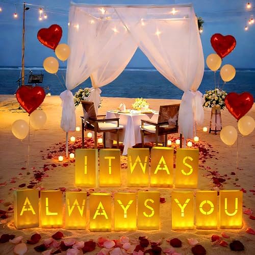 It was Always You Decorations, Luminary Paper Bags - Image 5