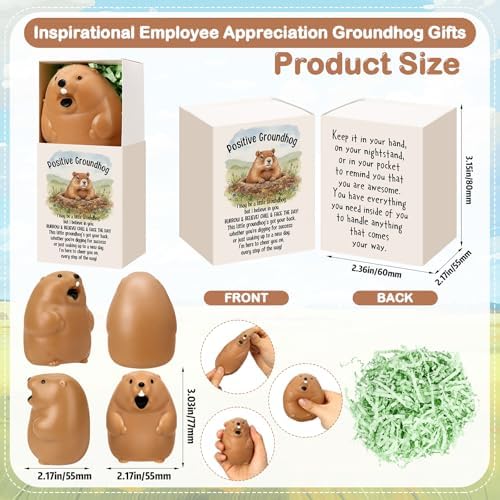 12 Sets Positive Gifts Groundhog Figurine with Support Boxes - Image 2
