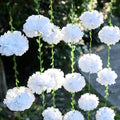 White Tissue Paper Pom Pom Garlands, Paper Flowers for Birthday Decorations, Baby Shower, Wedding Engagement, Bridal Shower, Spring Summer Party Decorations, 2 Pcs by Homarakble