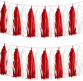 We Moment Red and White Tassel Garland，Tissue Tassel Banner for Black Red Birthday Party Decorations,Pack of 20 by We+Moment