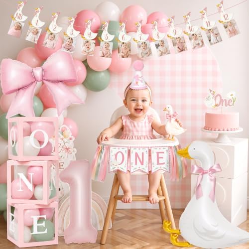Kriyokiaa One Silly Goose Birthday Decor Girl, Goose 1st Party Kit - Image 6