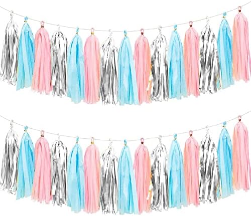 We Moment Gender Reveal Tissue Paper Tassel Banner for Wedding,Birthday,Baby Shower Party Decorations，DIY Kits，Pink，Blue，Silver，15PCS by We+Moment