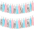 We Moment Gender Reveal Tissue Paper Tassel Banner for Wedding,Birthday,Baby Shower Party Decorations，DIY Kits，Pink，Blue，Silver，15PCS by We+Moment