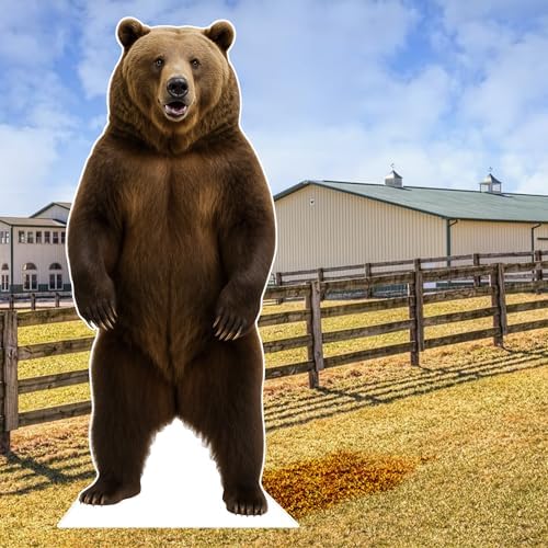Bear 1FT Life Size Cardboard Cutout, Safari, Alaskan Animals - Image 6