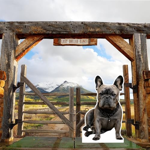 French Bulldog 5FT Life Size Cardboard Cutout, 1 PC - Image 6