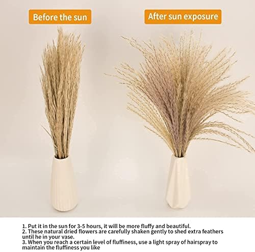 65PCS Pampas Grass Decor, Including pompas Floral, Reed Dried Grass and Bunny Tails Dried Flowers, Natural Dried Pampas Grass Bouquet for Boho Decor Wedding, Home Decoration (Pack of 2) - Image 2