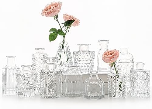 SUPMIND 12pcs Glass Bud Vase Set, Clear Small Flower Vases for Centerpieces by SUPMIND