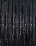 GOER 3.2 ft x 9.8 ft Black Photo Backdrop Party Streamers for Halloween,Birthday Party,1 Pack Black Metallic Tinsel Foil Fringe Curtains Party Decorations Wedding Decor by GOER