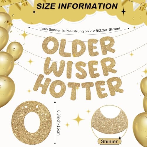 Fulmoon Older Wiser Hotter Banner Birthday sign, Champaign Gold - Image 3