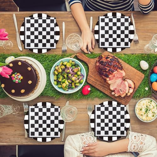 40Pcs Race Car Party Supplies Paper Plates and Napkins, 9 Inch Disposable Black White Checkered Flag Plates and Napkins for Race Car Birthday Party Decorations (Checkered) - Image 6