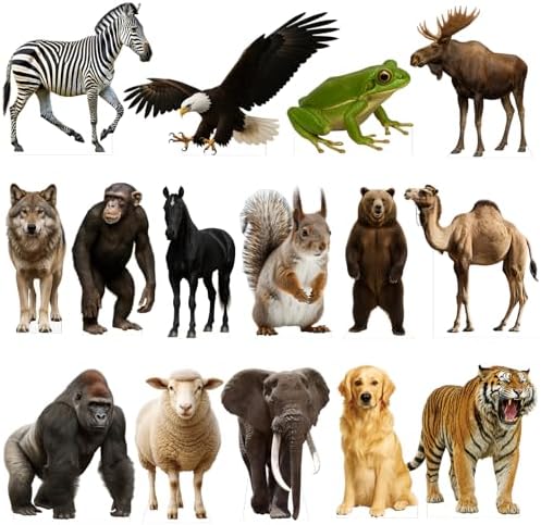 Frog 3FT Life Size Cardboard Cutout, 1 PC - Image 6