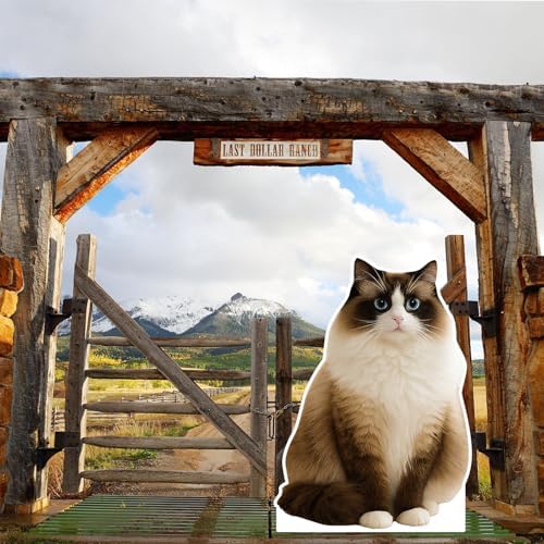 Pointed Ragdoll Cat 3FT Life Size Cardboard Cutout, 1 PC - Image 6