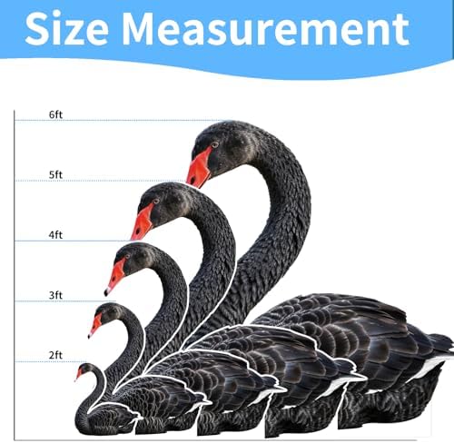 Black Swan 6FT Life Size Cardboard Cutout, Animal Standup, 1 PC - Image 2