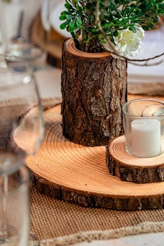 Set of 6 Large (11-12) inch Wood Slices for centerpieces! Wedding and Event Centerpiece Bases, Wood Rounds, Tree Slices Set of 6 Large (11-12") - Image 4