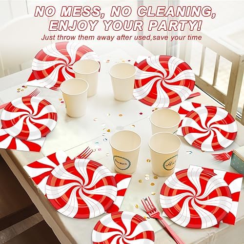 100Pcs Christmas Peppermint Paper Plates and Napkins Party Supplies Candy Cane Party Tableware Set Red and White Striped Christmas Winter Party Decor Favors for Holiday Xmas Theme Party Serves 25 - Image 5