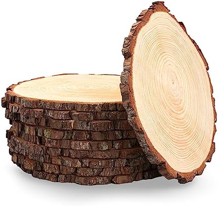 Set of 10 XL (12-14) inch Wood Slices! Wood Slice Centerpieces, Wedding Centerpieces, Thanksgiving Plate Chargers, Wood Slice Plate Chargers, Set of 10 XL (12-14") by RusticWoodSlices