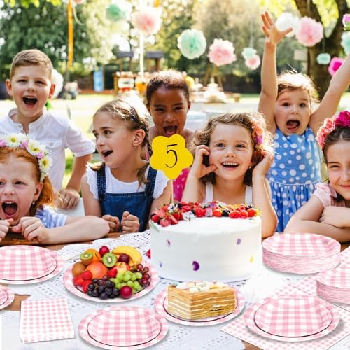180Pcs Pink Gingham Party Supplies Paper Plates and Napkins Serve 60 - Image 5