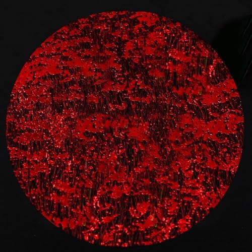 Red Disposable Placemats Set of 50 Red Charger Plates Doilies Metallic Thin Mesh Round 13 Inch Glitter Foil Pressed Dining Table Decoration Centerpieces for Party Wedding Birthday by YLUSUJAKX