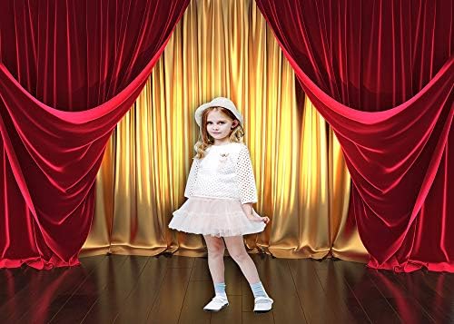 Qian 7x5FT Vinyl 3D Rendering Theater Stage Theme Photography Backdrops Golden and Red Curtains Photo Studio Props Vinyl Background for Wedding Birthday Party Decoration Banner - Image 5